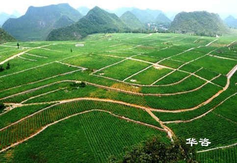 湖南省工程建设项目编制地质灾害评估报告的积极意义