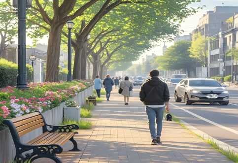 交通组织优化：驱动城市可持续发展的核心引擎